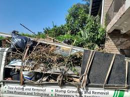 Best Scrap Metal Removal  in Neosho, MO